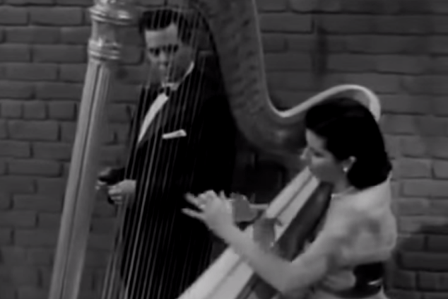 Nancy. A highly respected musician and inspiration to some young harpists I found online. Also goes by Sugar Tits.